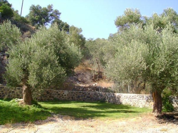 Rodakino Βay Διαμέρισμα Εξωτερικό φωτογραφία